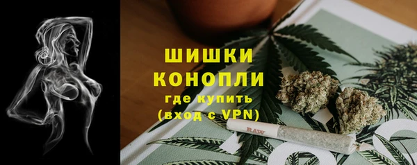 стаф Гусь-Хрустальный