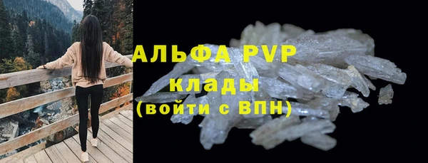 стаф Гусь-Хрустальный
