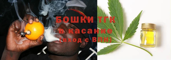 стаф Гусь-Хрустальный