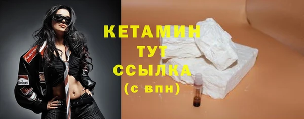 стаф Гусь-Хрустальный