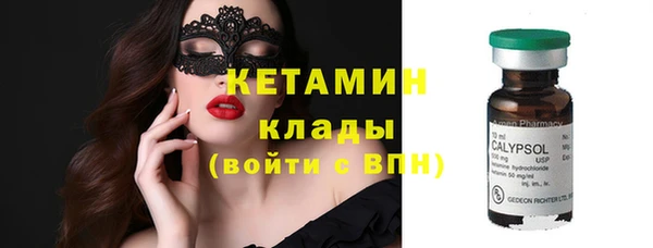 стаф Гусь-Хрустальный