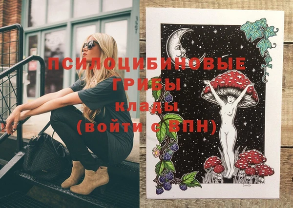 мяу мяу кристалл Гусиноозёрск