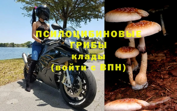 мяу мяу кристалл Гусиноозёрск