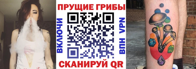Купить закладки  Подпорожье  Галлюциногенные грибы мухоморы 
